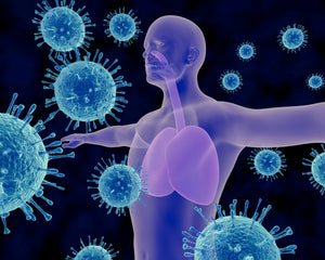 Powerful Immune System Support