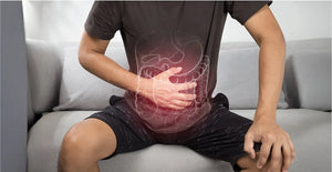 Supports Gut Health and Digestion