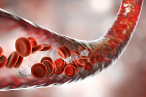 Promotes Healthy Blood Flow And Circulation, Ideal For Post-Workout Recovery