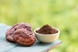 Reishi Mushroom Extract