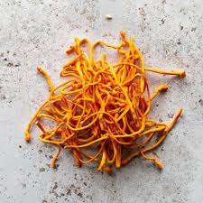 Cordyceps