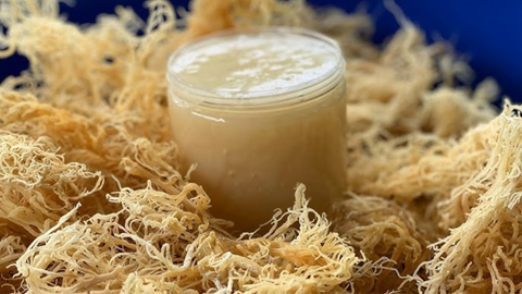 How Long Does Sea Moss Gel Last ?