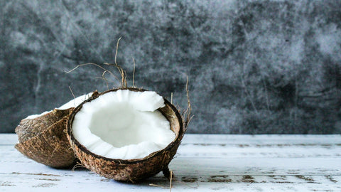 Can You Eat Coconut On Carnivore Diet ? - Supra Vita