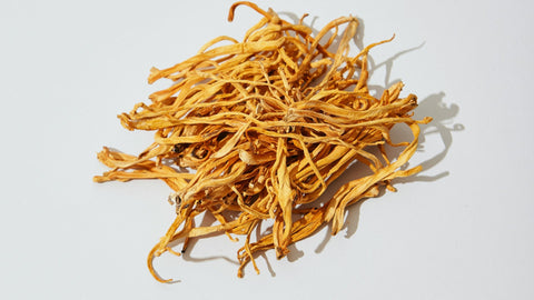 Do Cordyceps Increase Testosterone ? - Supra Vita