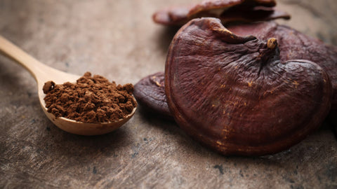 How Long Does It Take For Reishi Mushroom To Work ? - Supra Vita