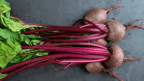 Where And When Did Beetroot Come To The US ? - Supra Vita